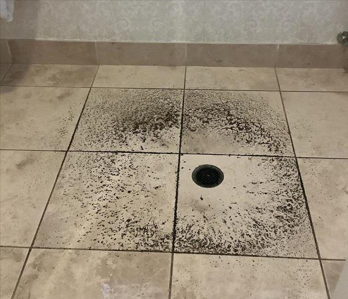 Commercial bathroom with sewage on a tile floor