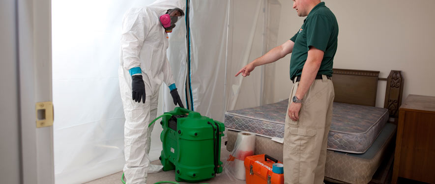 East Naples, FL mold removal process